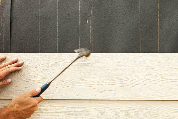 Best Siding Painting and Refinishing  in St Johns, AZ